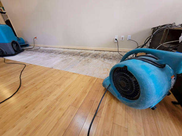 Professional Water Removal technician working in Westley, CA